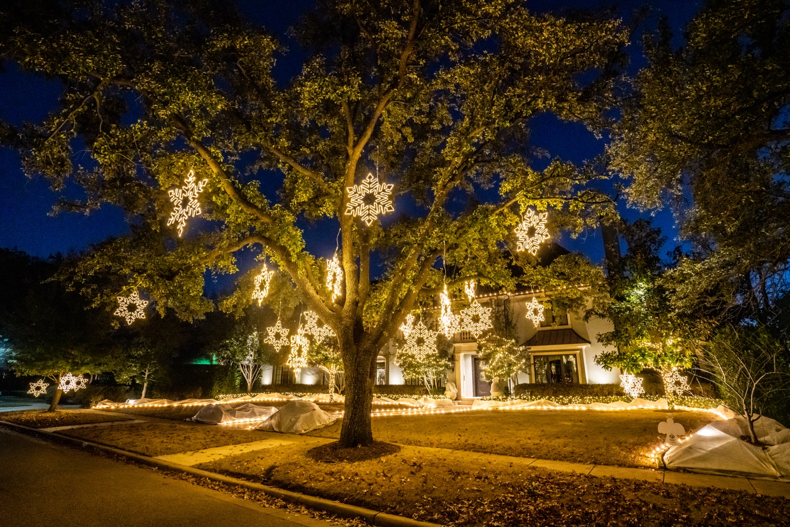 Illuminated snowflake ornaments hang from a large tree in front of a home, with warm white lights edging the landscape.