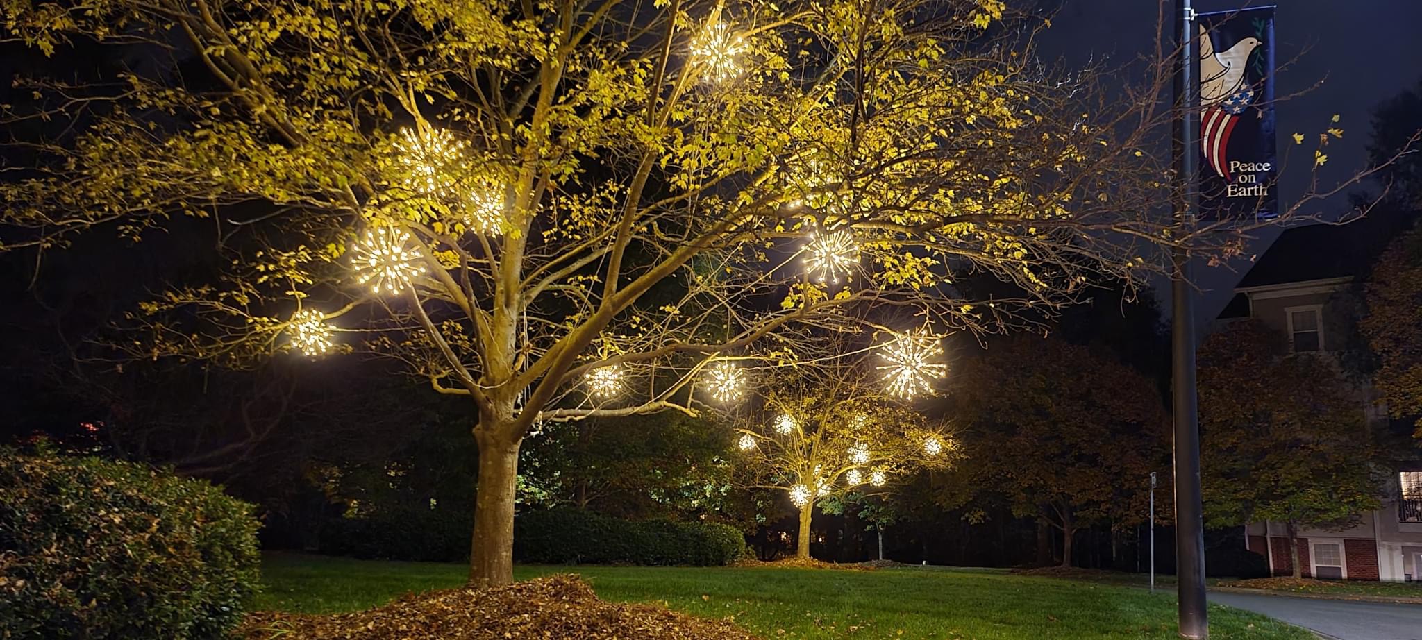 Warm white starburst ornaments hang in two landscaped trees beside a road and a Peace on Earth banner.